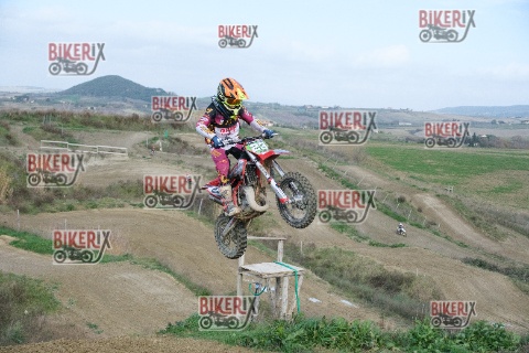 Malandrone 03-01-26 h13-08 0217