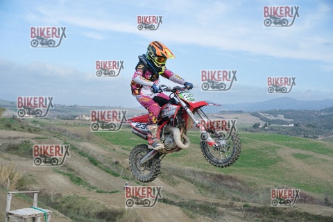 Malandrone 03-01-26 h13-08 0220