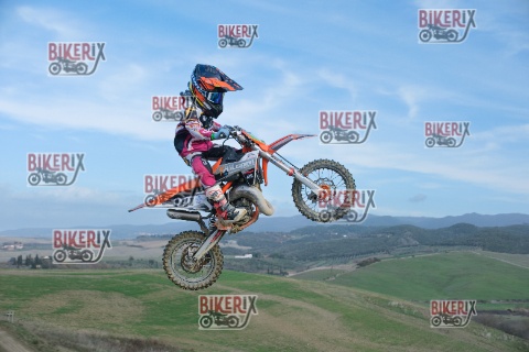 Malandrone 03-01-26 h13-08 0222