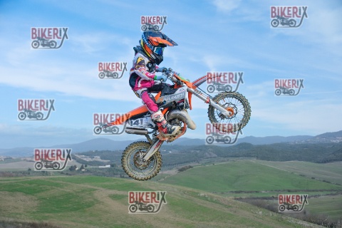 Malandrone 03-01-26 h13-08 0223