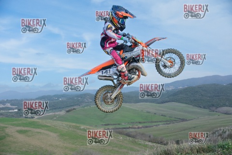 Malandrone 03-01-26 h13-08 0224