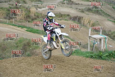 Malandrone 03-01-26 h13-08 0226