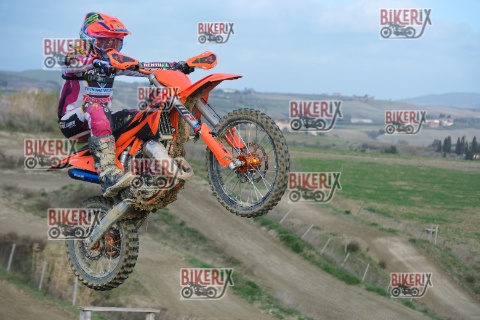 Malandrone 03-01-26 h13-09 0244