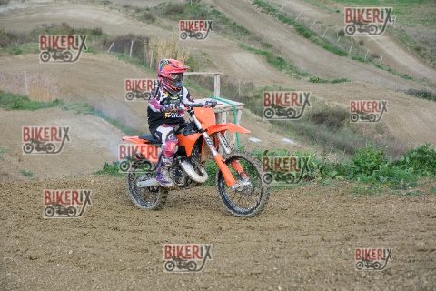 Malandrone 03-01-26 h13-11 0258