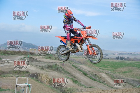 Malandrone 03-01-26 h13-21 0278