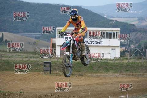 Malandrone 03-01-26 h13-43 0493