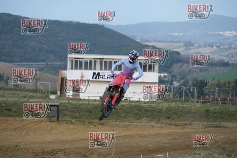 Malandrone 03-01-26 h13-44 0494