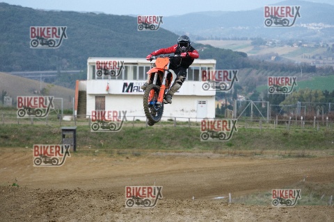 Malandrone 03-01-26 h13-45 0513