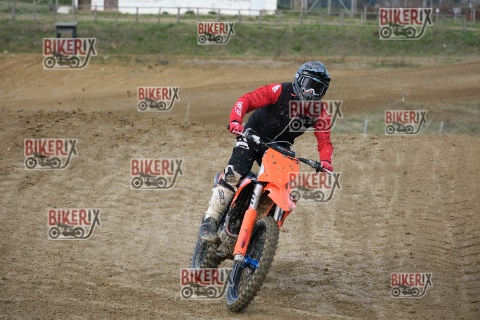 Malandrone 03-01-26 h13-45 0517