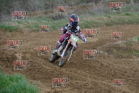 Malandrone 03-01-26 h14-34 0520