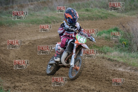 Malandrone 03-01-26 h14-34 0524