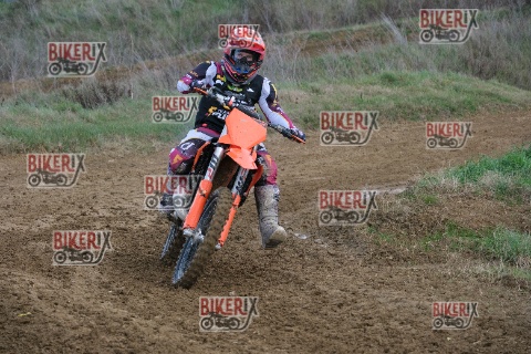 Malandrone 03-01-26 h14-34 0531