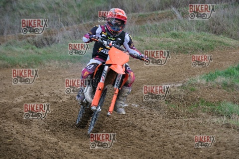 Malandrone 03-01-26 h14-34 0533