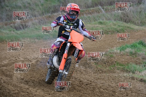 Malandrone 03-01-26 h14-34 0535