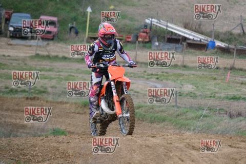 Malandrone 03-01-26 h14-37 0547