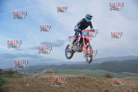 Malandrone 03-01-26 h15-00 0613