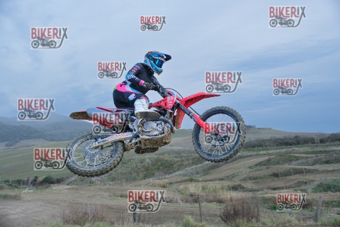 Malandrone 03-01-26 h15-04 0616