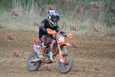 Malandrone 03-01-26 h15-08 0621