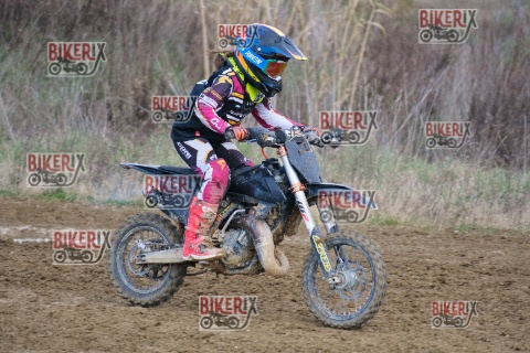 Malandrone 03-01-26 h15-08 0622