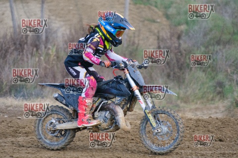 Malandrone 03-01-26 h15-08 0623