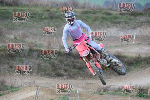 Malandrone 03-01-26 h15-46 0672