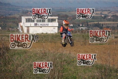 Malandrone 13-12-25 h12-23 0230