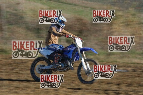 Malandrone 13-12-25 h12-36 0298