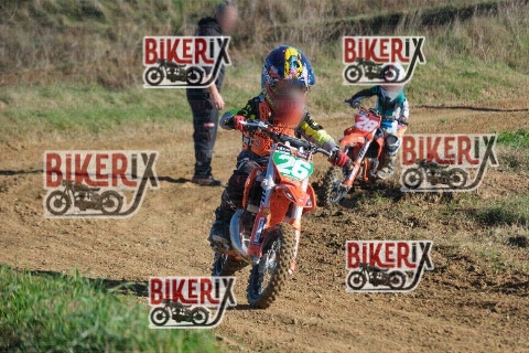 Malandrone 13-12-25 h13-24 0319