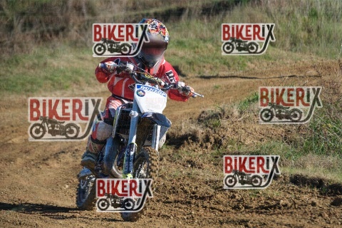 Malandrone 13-12-25 h13-25 0336