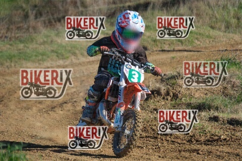 Malandrone 13-12-25 h13-25 0338