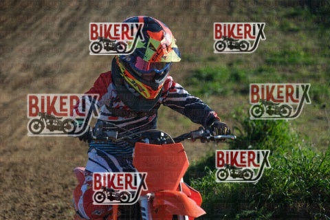 Malandrone 13-12-25 h13-27 0342