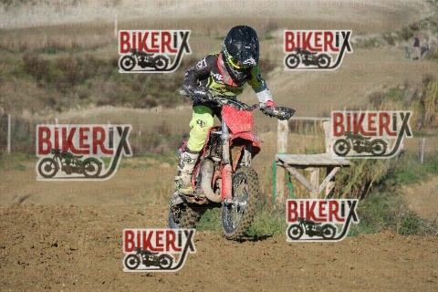 Malandrone 13-12-25 h13-33 0384