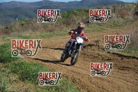 Malandrone 13-12-25 h14-05 0539