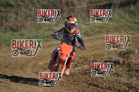 Malandrone 13-12-25 h14-06 0548