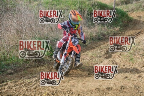 Malandrone 18-01-26 h11-13 0106