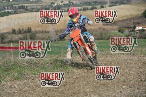 Malandrone 18-01-26 h11-38 0197