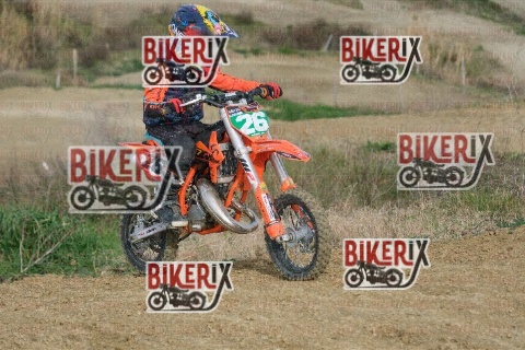 Malandrone 18-01-26 h12-30 0261