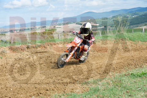 Malandrone 27-09-25 h12-11 0207