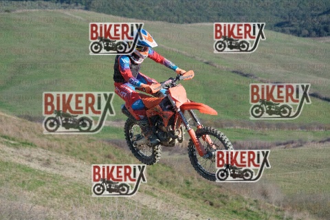 Malandrone 31-12-25 h12-37 0162