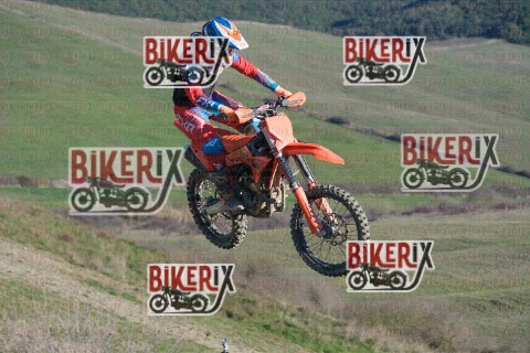 Malandrone 31-12-25 h12-37 0163