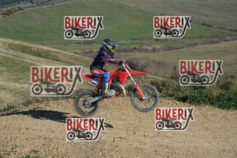 Malandrone 31-12-25 h13-25 0270