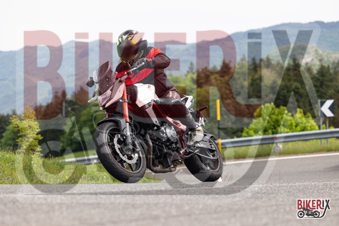 Passo del Giogo 03-05-25 h11-32 0184