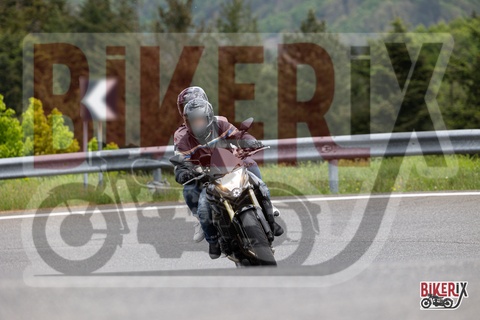 Passo del Giogo 03-05-25 h12-58 0504