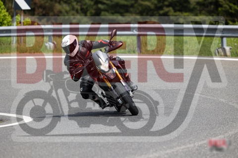 Passo del Giogo 03-05-25 h14-15 0736