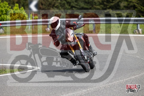 Passo del Giogo 03-05-25 h14-15 0737