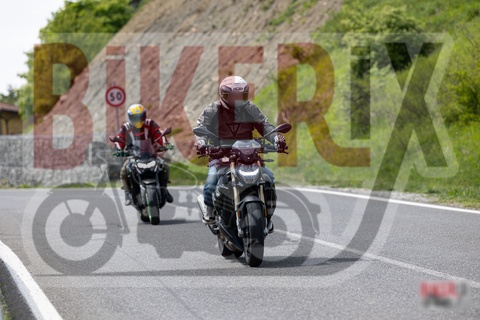 Passo del Giogo 03-05-25 h14-17 0749