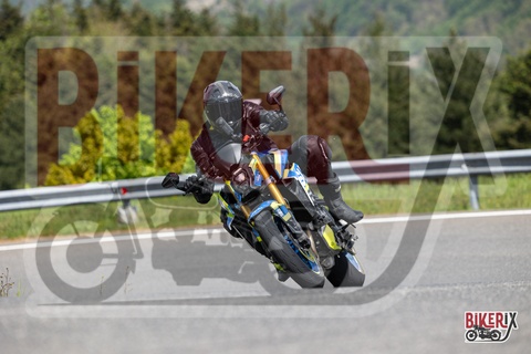 Passo del Giogo 03-05-25 h14-35 0793