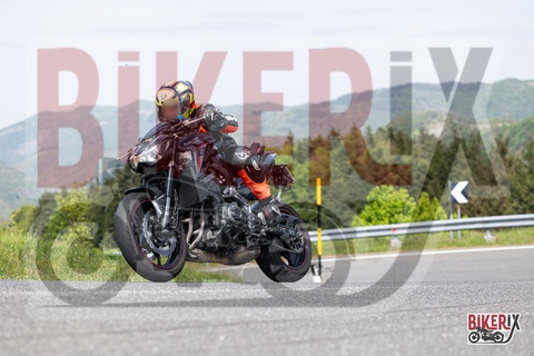 Passo del Giogo 03-05-25 h15-27 0969