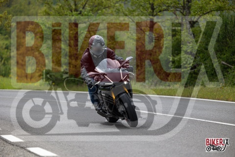 Passo del Giogo 04-05-25 h14-05 0492