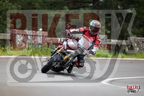 Passo del Muraglione 03-05-25 h14-01 1949